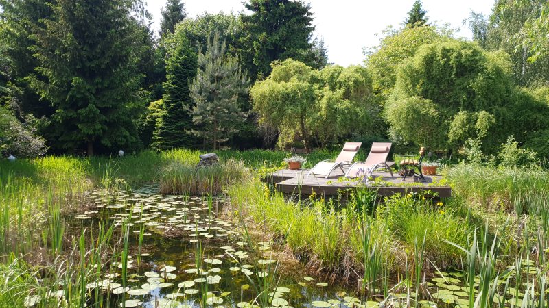 Staw z wodospadem w Kamiennym Ogrodzie Holiday Park