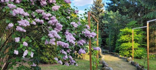 Kamienny Ogród Holiday Park to 6 komfortowych domków w prywatnym 2-hektarowym parku w Starych Sadach nad Jeziorem Tałty na Szlaku Wielkich Jezior Mazurskich, 5 km do Mikołajek