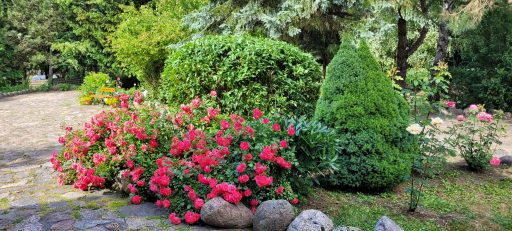Kamienny Ogród Holiday Park to 6 komfortowych domków w prywatnym 2-hektarowym parku w Starych Sadach nad Jeziorem Tałty na Szlaku Wielkich Jezior Mazurskich, 5 km do Mikołajek
