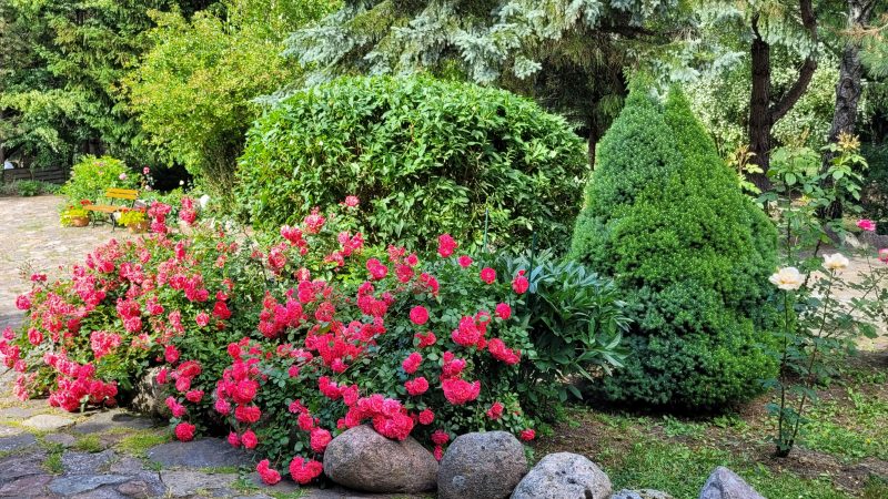 Kamienny Ogród Holiday Park to 6 komfortowych domków w prywatnym 2-hektarowym parku w Starych Sadach nad Jeziorem Tałty na Szlaku Wielkich Jezior Mazurskich, 5 km do Mikołajek