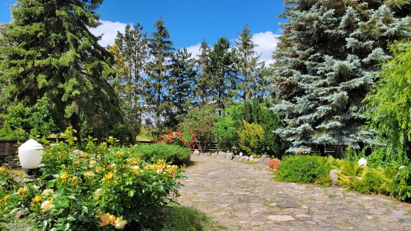 Kamienny Ogród Holiday Park to 6 komfortowych domków w prywatnym 2-hektarowym parku w Starych Sadach nad Jeziorem Tałty na Szlaku Wielkich Jezior Mazurskich, 5 km do Mikołajek