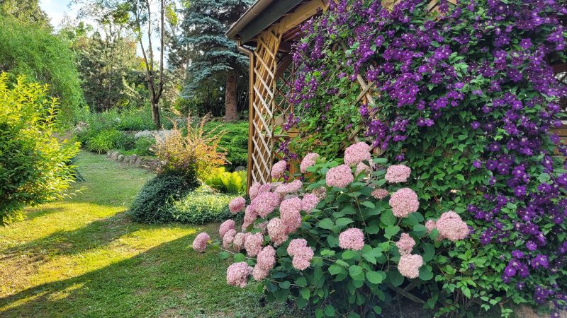 Kamienny Ogród Holiday Park to 6 komfortowych domków w prywatnym 2-hektarowym parku w Starych Sadach nad Jeziorem Tałty na Szlaku Wielkich Jezior Mazurskich, 5 km do Mikołajek